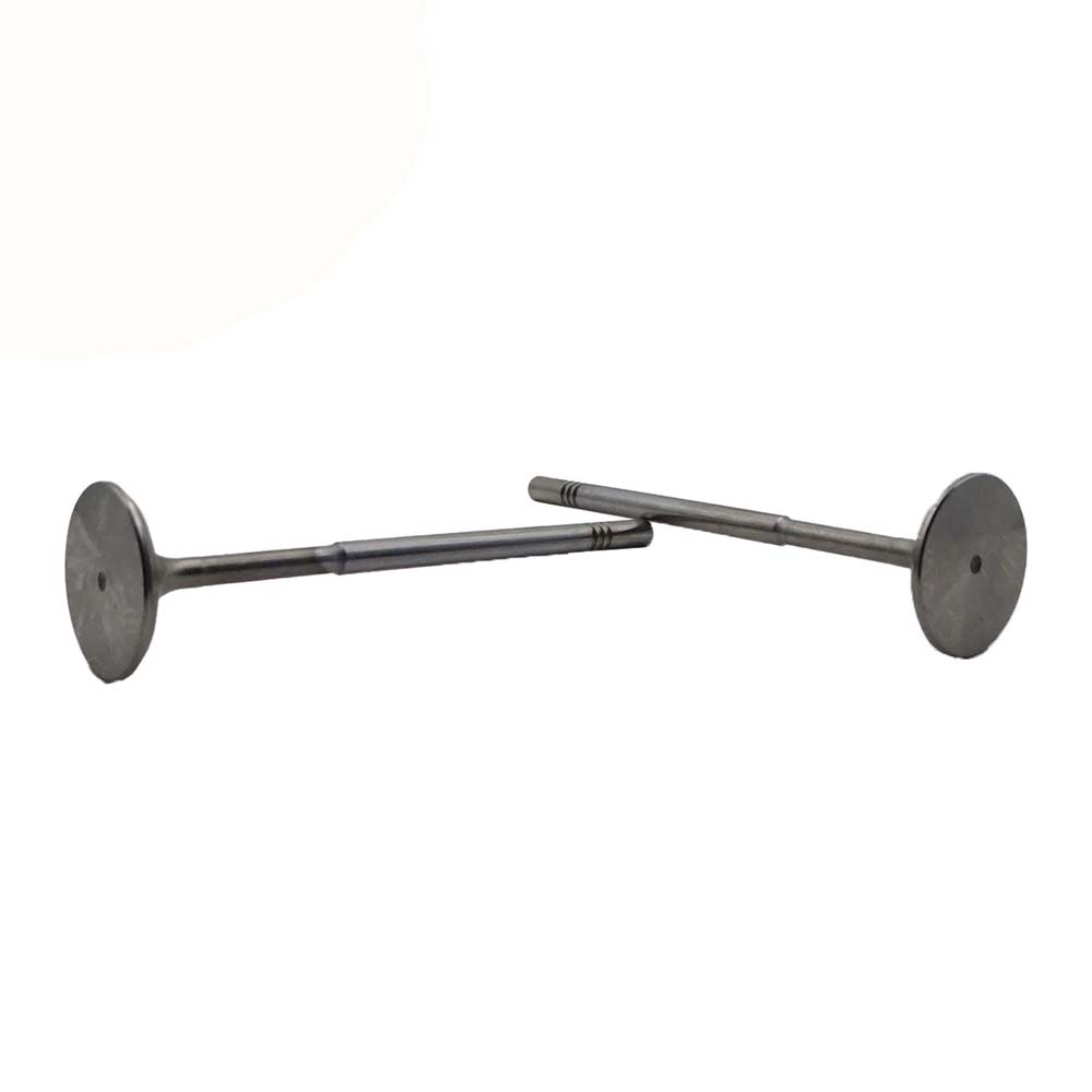 Intake Valve Apply to Benz W270 Engine(8PCS/Set)   OE  270 053 0001