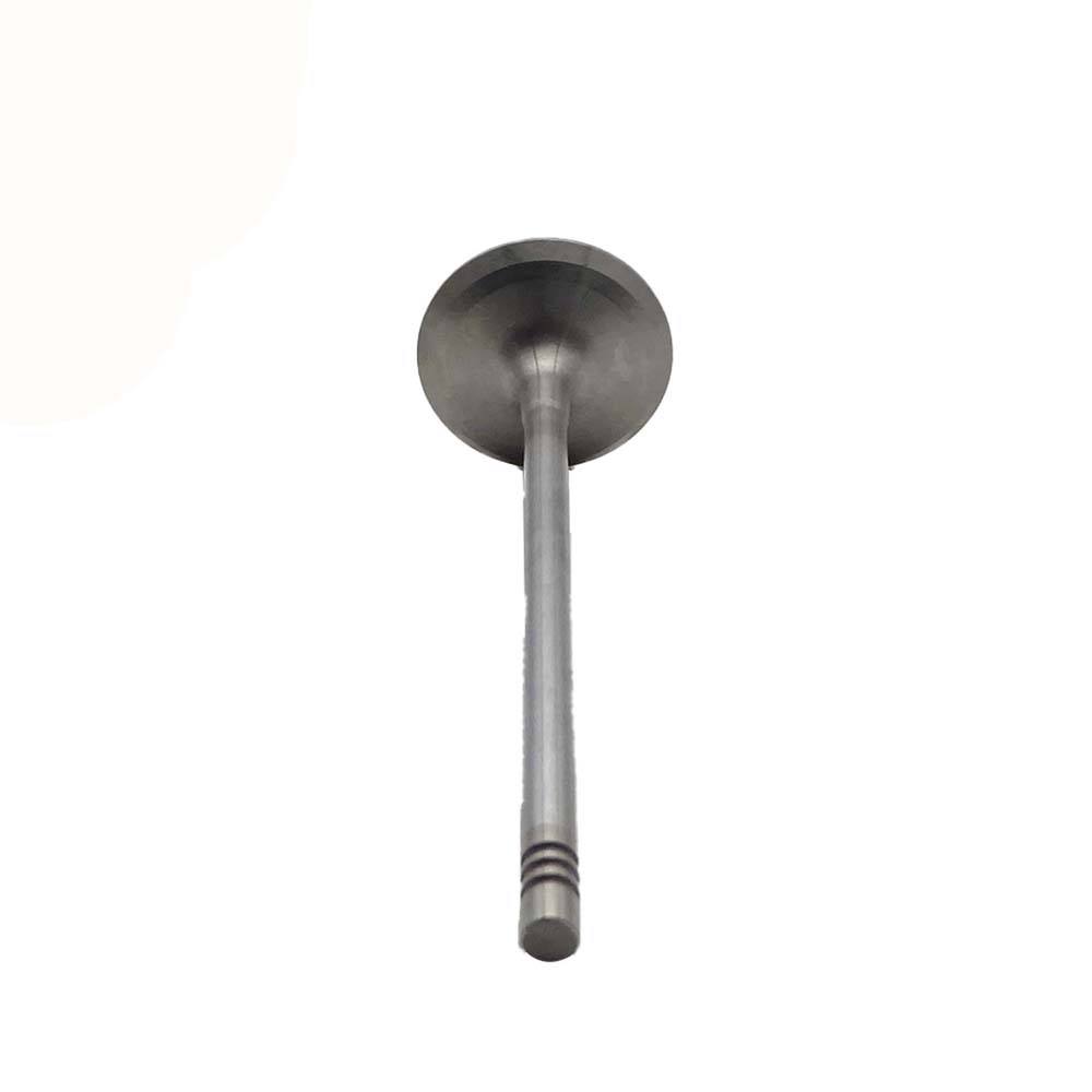 Intake Valve Apply to Bmw N20 Engine(8PCS/Set)   OE  1134 7583 779