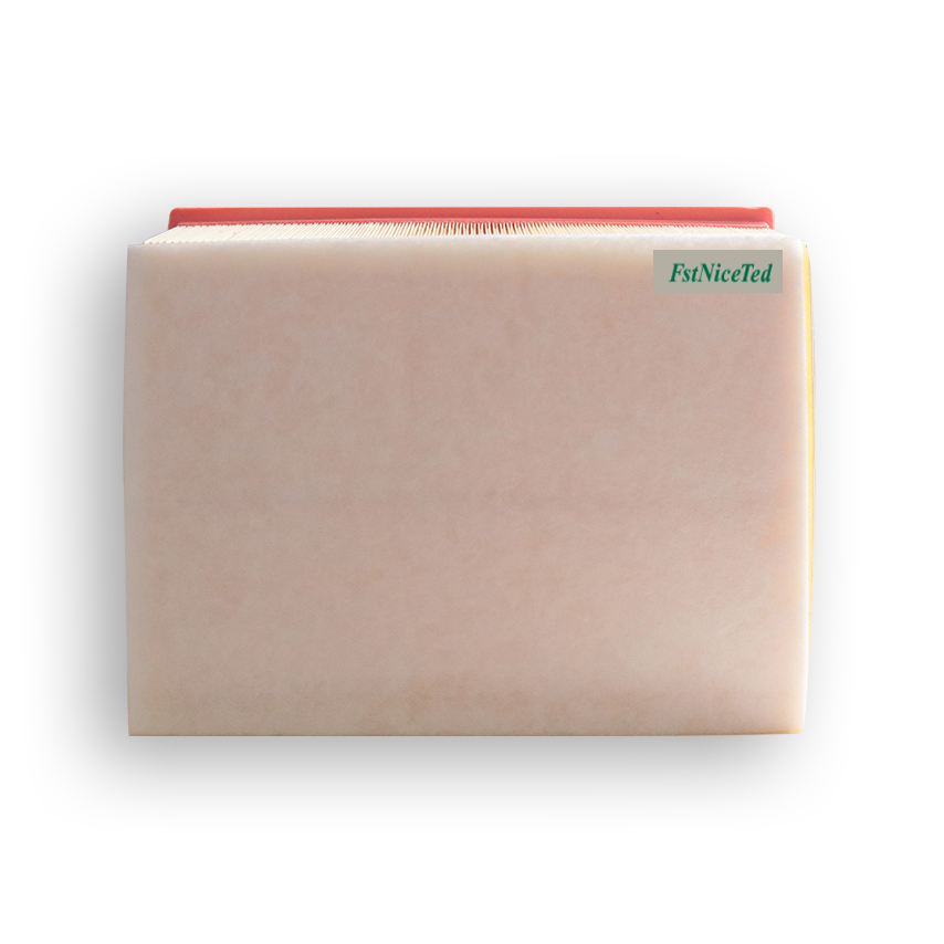 PU Air Filter Apply to Audi A4 (8E2, B6) Seat EXEO (3R2)   OE  06C-133-843