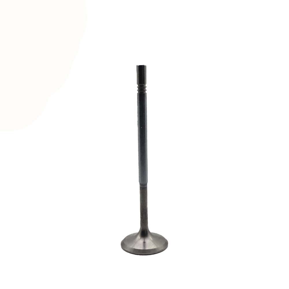 Intake Valve Apply to Benz W274 Engine(8PCS/Set)   OE  270 053 0500