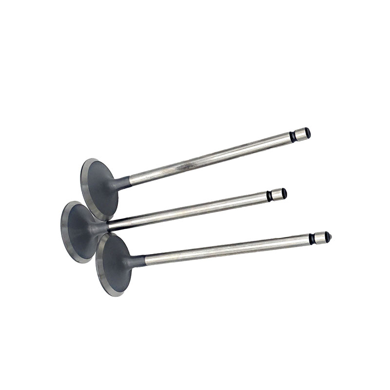 Suitable for Toyota Highlander(2GR 3.5L) 2009-2019 Tacoma Avalon Camry(3.5L) 2017-2019 Exhaust Valve （8PCS）