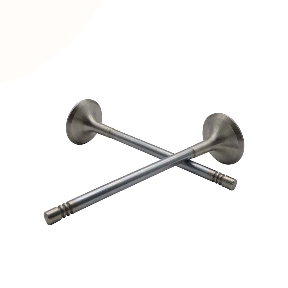 Exhaust Valve Apply to Benz W278 Engine(8PCS/Set)   OE  276 050 0027