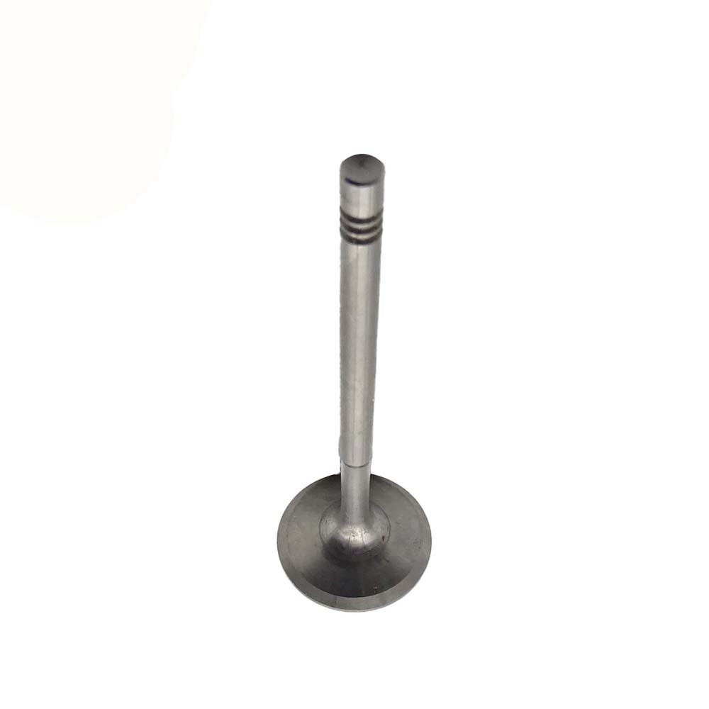 Intake Valve Apply to Benz W271(New) Engine(8PCS/Set)   OE  271 053 1001