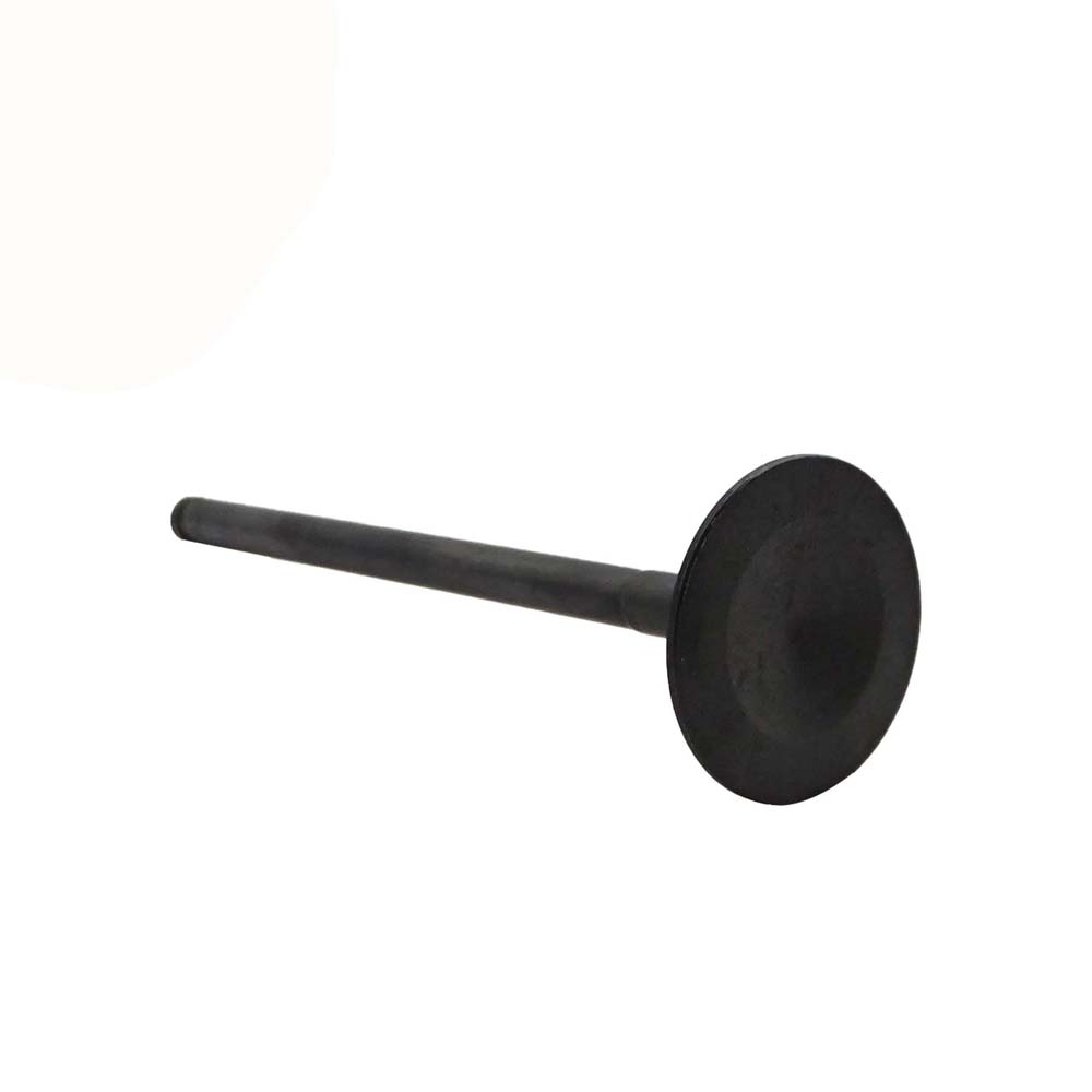 Intake Valve Apply to Benz W275 Engine(8PCS/Set)   OE  275 053 0001