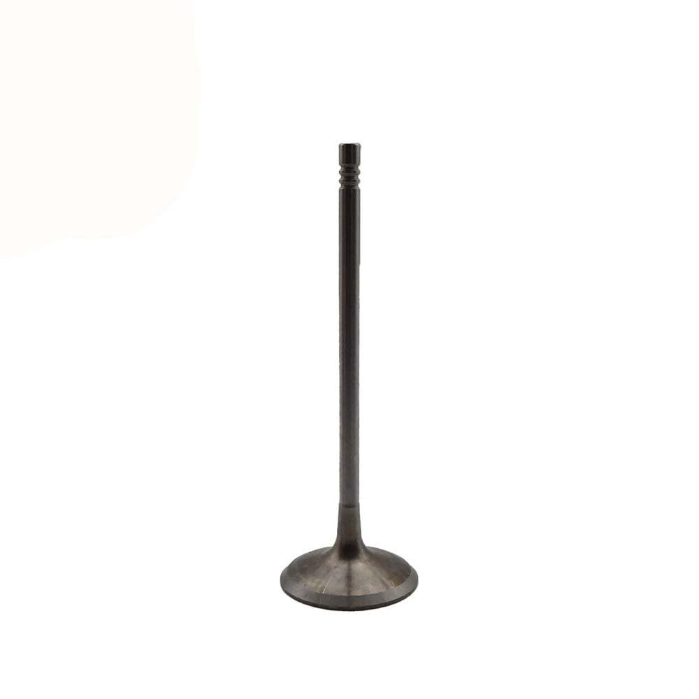 Intake Valve Apply to Bmw N52 Engine(8PCS/Set)   OE  1134 7553 771