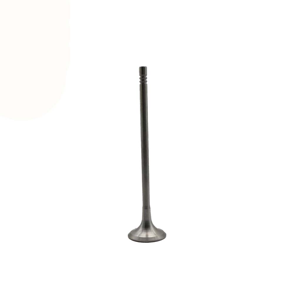 Exhaust Valve Apply to Bmw N14 Engine(8PCS/Set)   OE  1134 7547 187