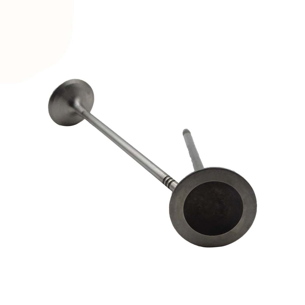 Intake Valve Apply to Bmw N20 Engine(8PCS/Set)   OE  1134 7583 779