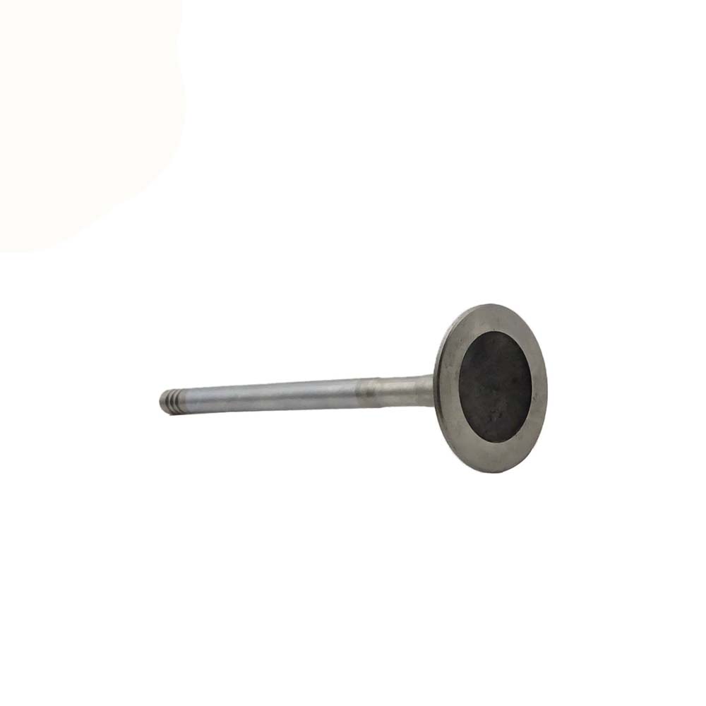 Exhaust Valve Apply to Bmw N46 Engine(8PCS/Set)   OE  1134 1707 519