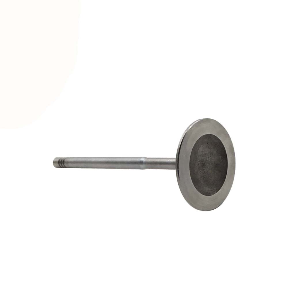 Intake Valve Apply to Benz W278 Engine(8PCS/Set)   OE  278 050 0126