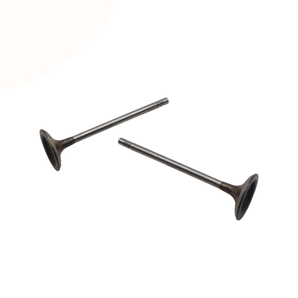 Intake Valve Apply to Bmw N13 Engine(8PCS/Set)   OE  1134 7585 901