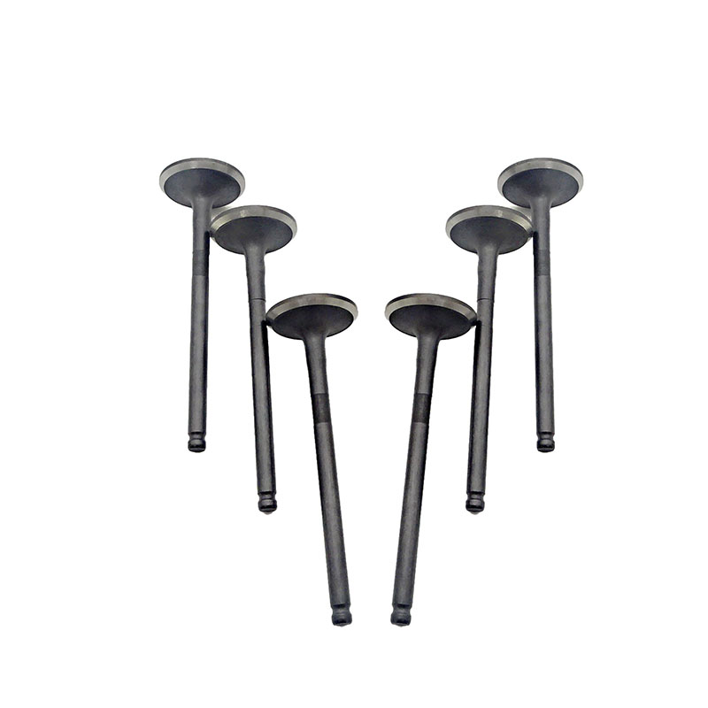 Suitable for Toyota Corolla(1.8L) 2001-2009 Avensis(1.8L) 2000-2008 RAV4(1.8L) 2000-2005 Exhaust Valve