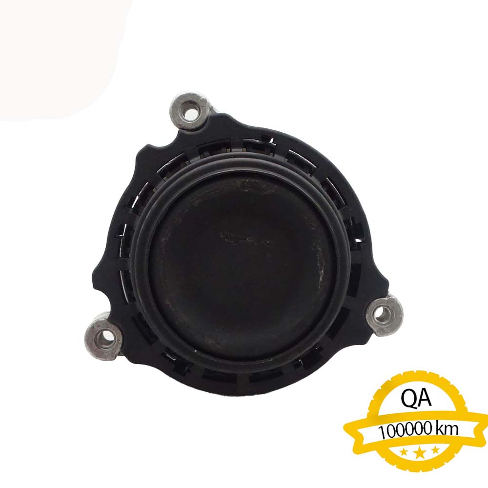 Engine Mounting Apply to Bmw 1 F20 2011-2015   OE  2211 6855 456