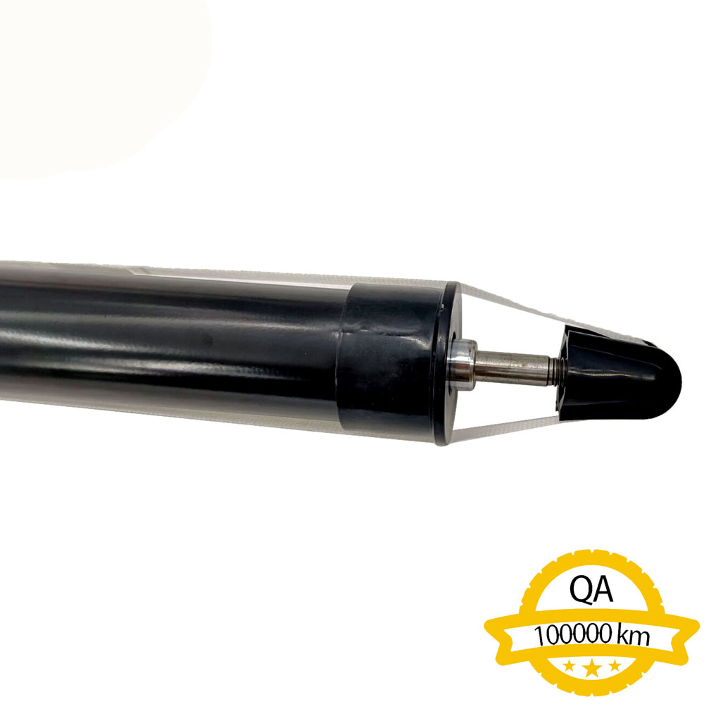 Shock Absorber Apply to Bmw X5 E70 2007-2013   OE  3352 6781 922