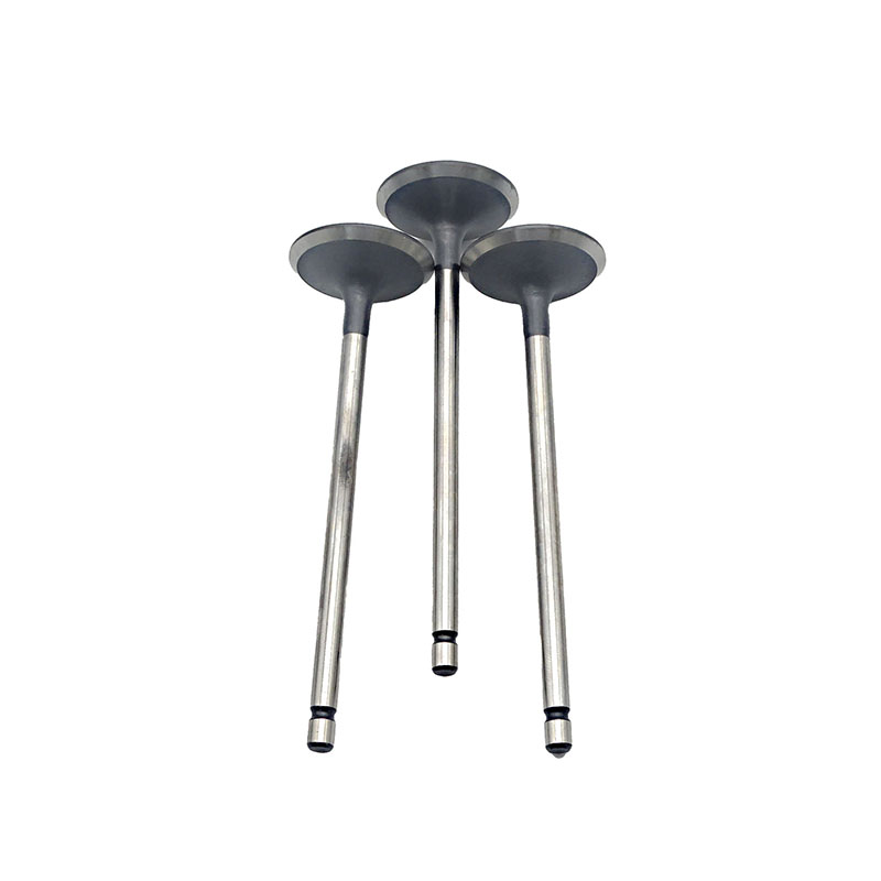 Suitable for Toyota Highlander(2GR 3.5L) 2009-2019 Tacoma Avalon Camry(3.5L) 2017-2019 Exhaust Valve （8PCS）