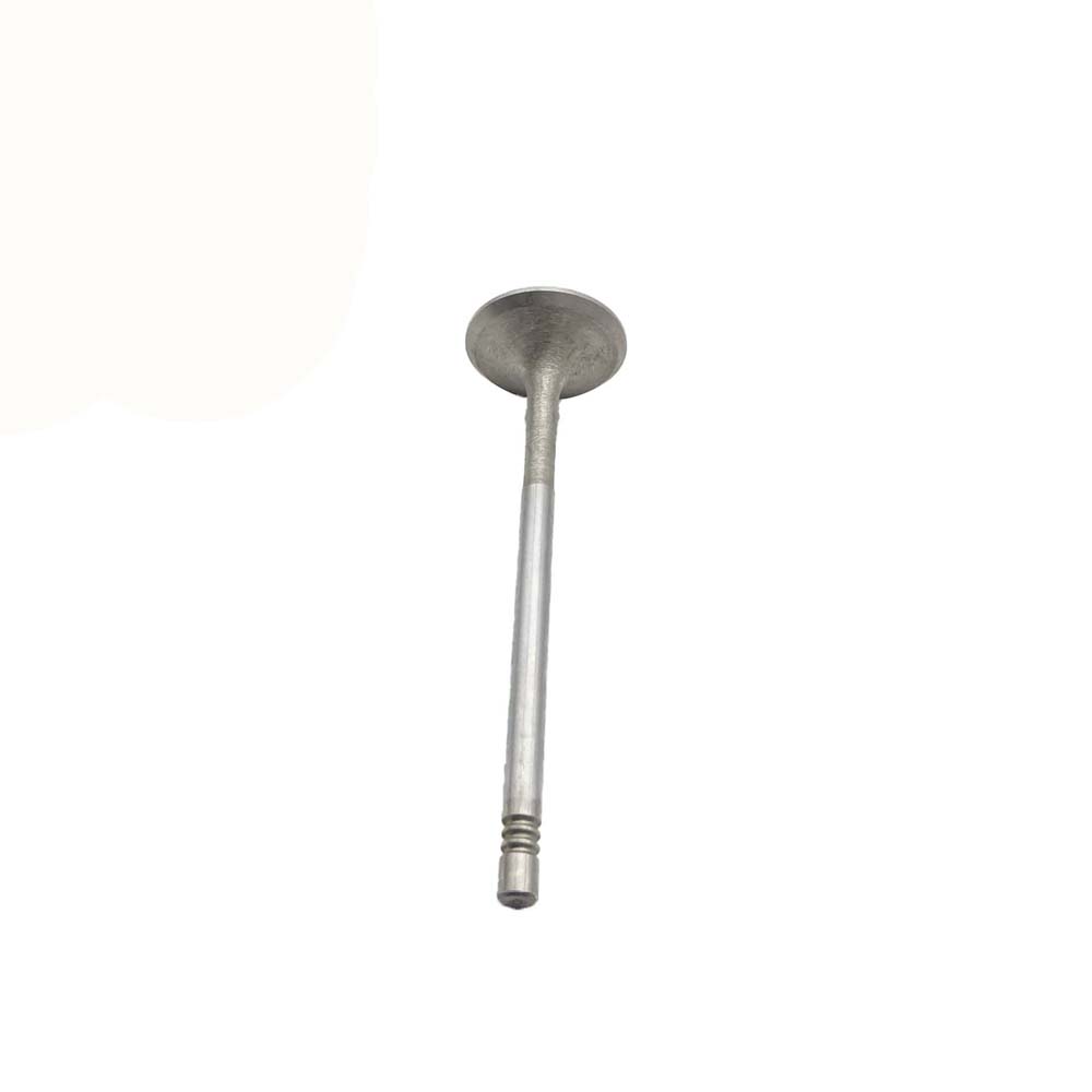 Intake Valve Apply to Benz W271(Old) Engine(8PCS/Set)   OE  271 053 0601