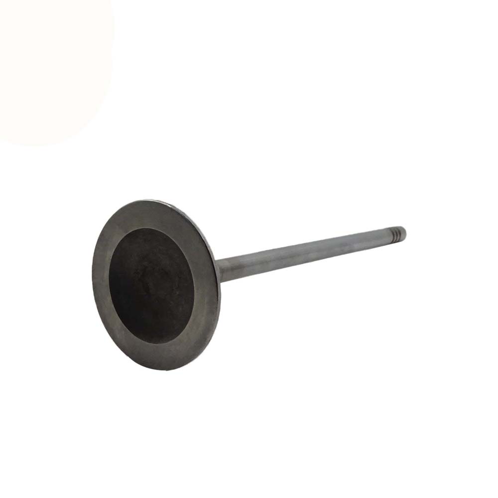 Intake Valve Apply to Bmw N20 Engine(8PCS/Set)   OE  1134 7583 779