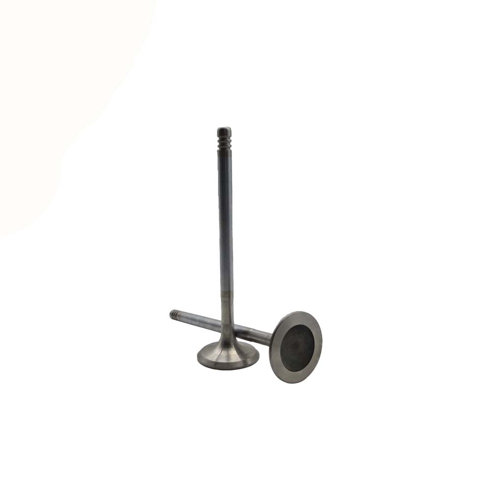 Exhaust Valve Apply to Bmw N46 Engine(8PCS/Set)   OE  1134 1707 519