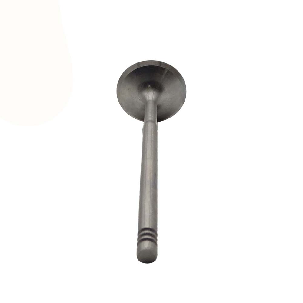 Intake Valve Apply to Bmw N46 Engine(8PCS/Set)   OE  1134 1440 304