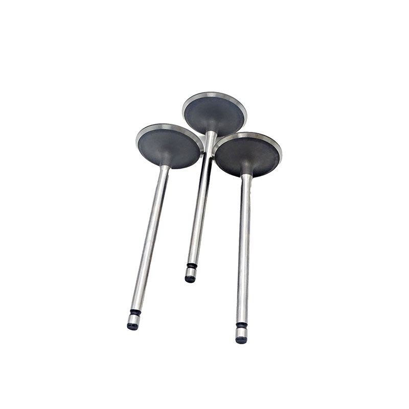 Suitable for Toyota Land Cruiser Prado(2TR 2.7L) 2004-2015 Intake Valve （8PCS）