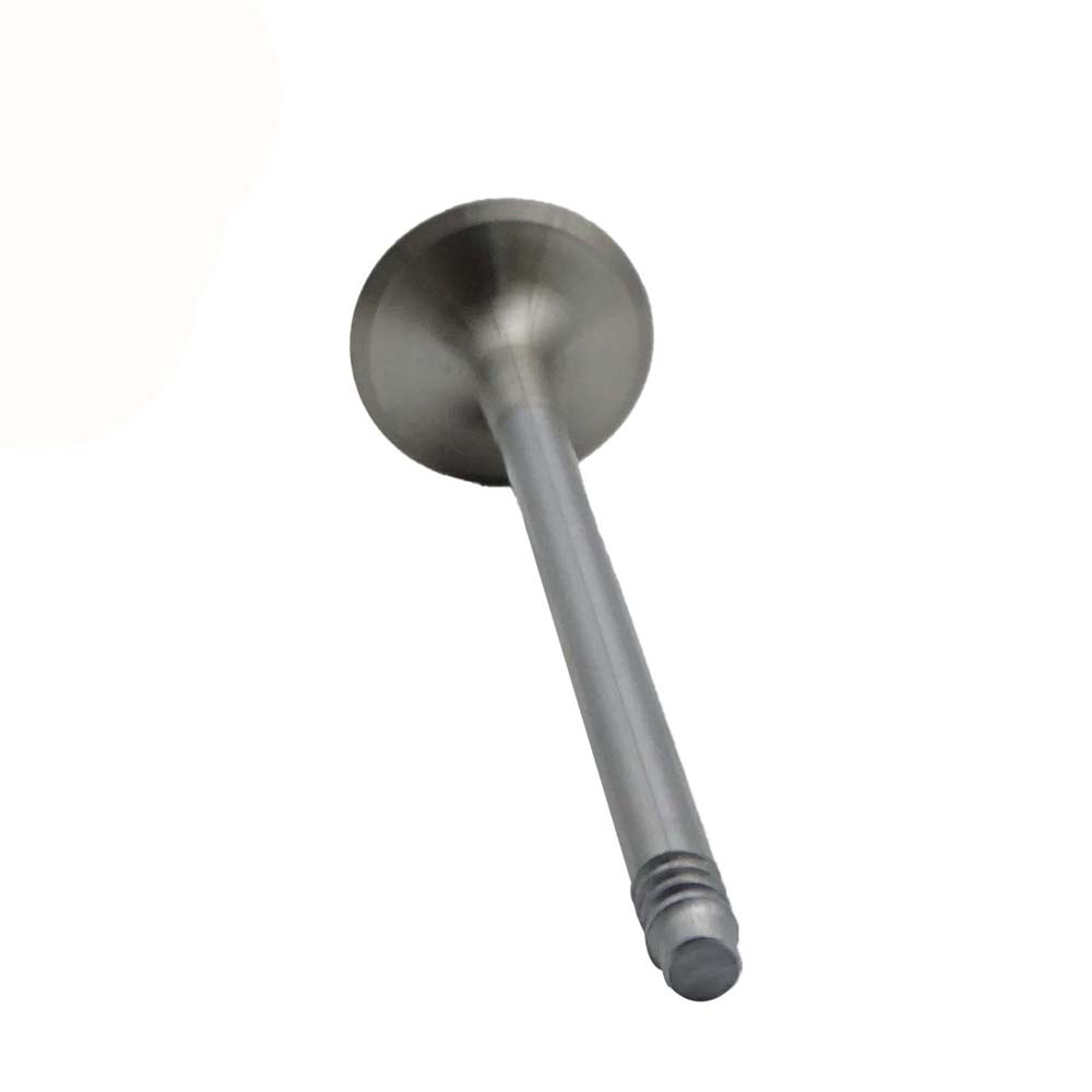 Exhaust Valve Apply to Bmw 5 F07 2010-2014(8PCS/Set)   OE  1134 7598 273