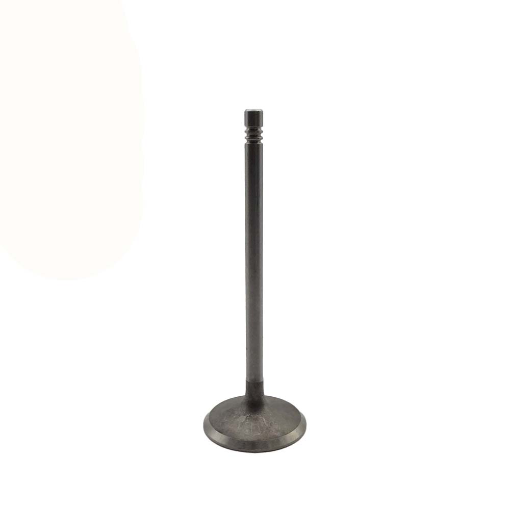Intake Valve Apply to Benz W272 2.5L Engine(8PCS/Set)   OE  272 053 0801