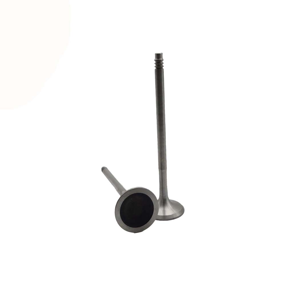 Exhaust Valve Apply to Bmw N52 Engine(8PCS/Set)   OE  1134 7553 772
