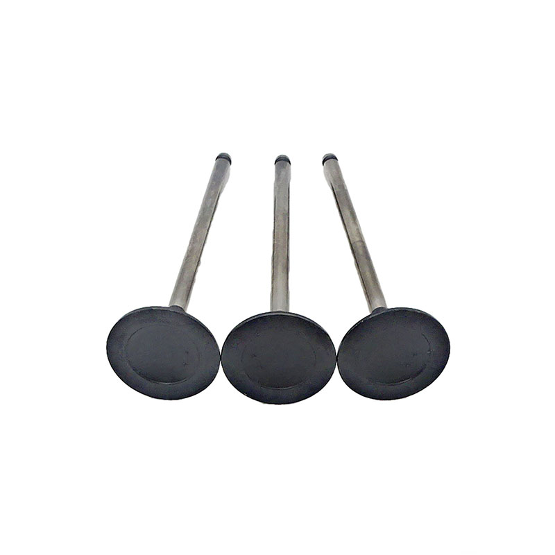 Suitable for Toyota Land Cruiser Prado(1GR 4.0L) 2003-2015 Exhaust Valve （8PCS）