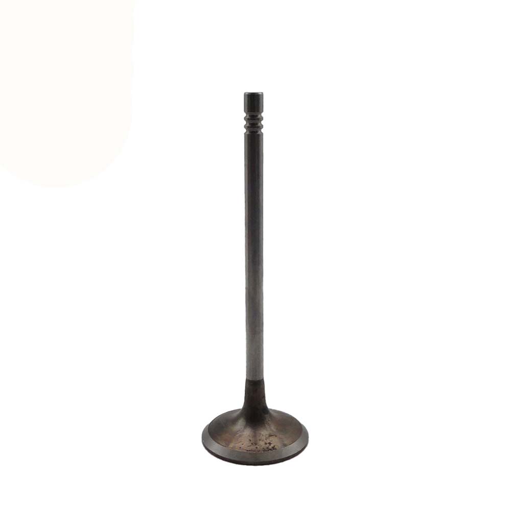 Intake Valve Apply to Bmw N13 Engine(8PCS/Set)   OE  1134 7585 901