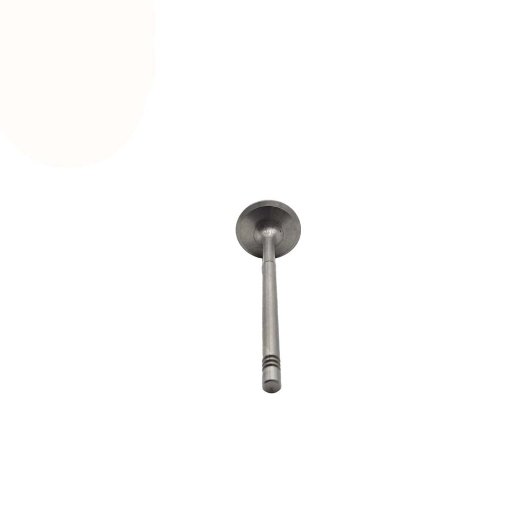Intake Valve Apply to Benz W271(New) Engine(8PCS/Set)   OE  271 053 1001