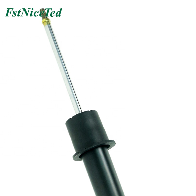 Rear shock absorber assembly for: Tesla Model 3 OE: 1044461-02-B