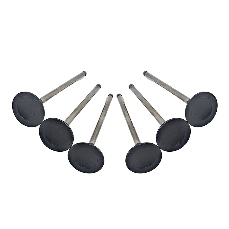 Suitable for Toyota Land Cruiser Prado(1GR 4.0L) 2003-2015 Exhaust Valve （8PCS）