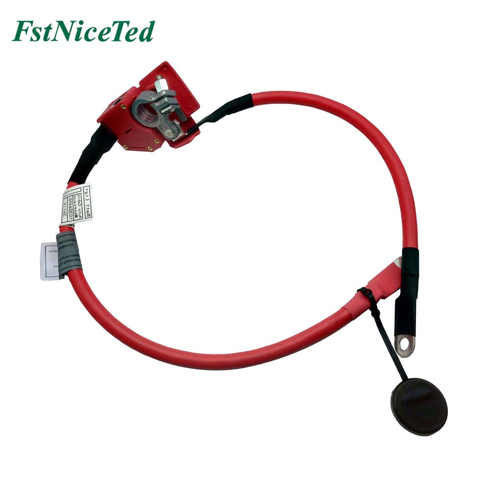 Battery Cable Apply to Bmw 3 F30 2012-2015   OE  6112 9259 425