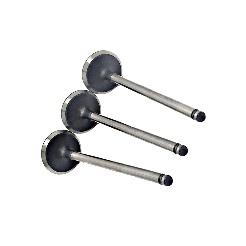 Suitable for Toyota Land Cruiser Prado(1GR 4.0L) 2003-2015 Exhaust Valve （8PCS）