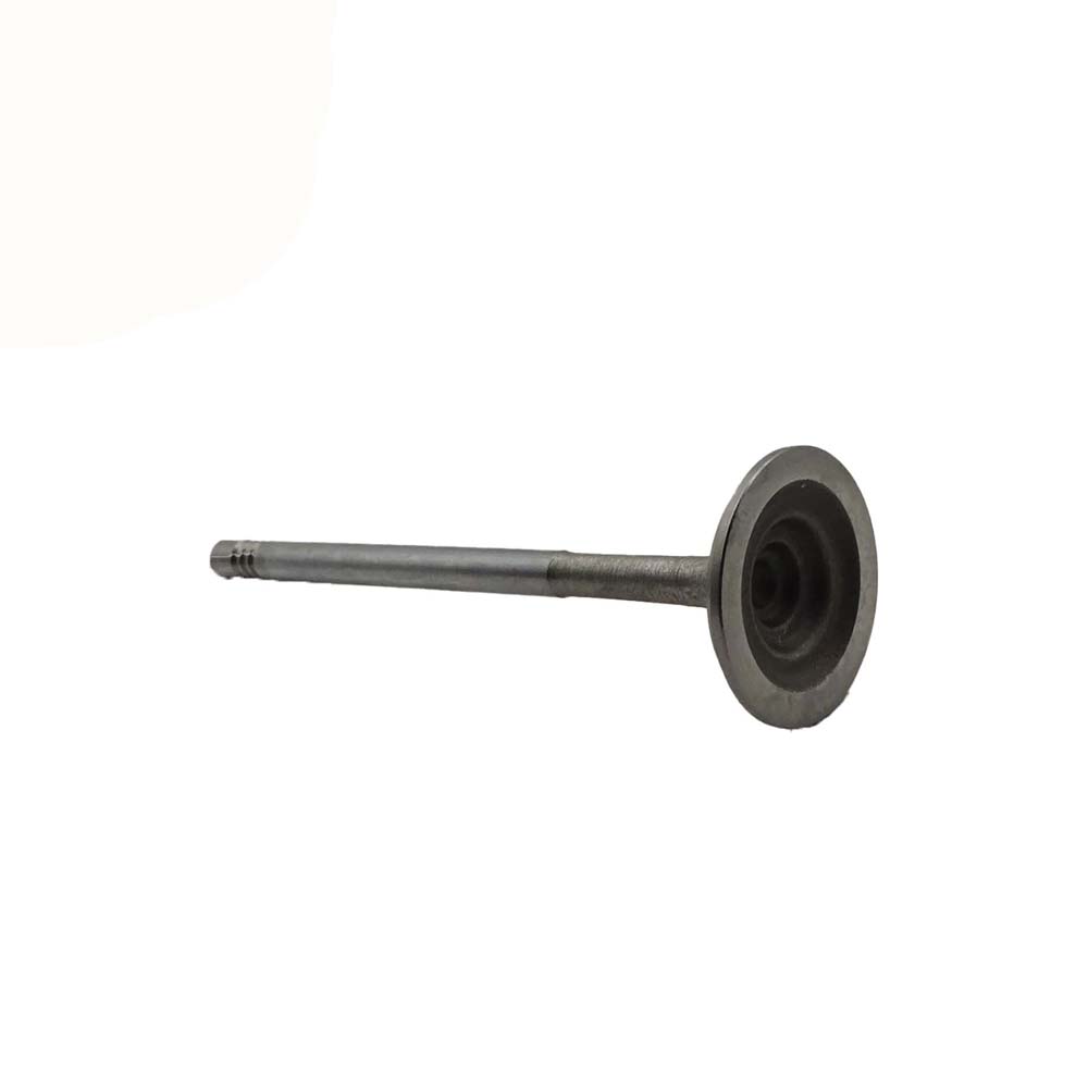 Intake Valve Apply to Benz W271(Old) Engine(8PCS/Set)   OE  271 053 0601