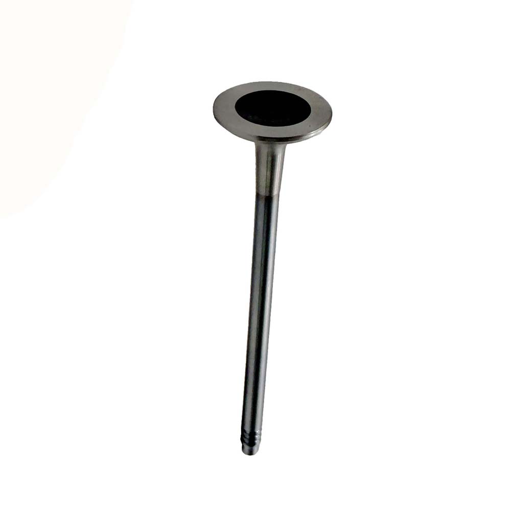 Exhaust Valve Apply to Bmw 5 F07 2010-2014(8PCS/Set)   OE  1134 7598 273
