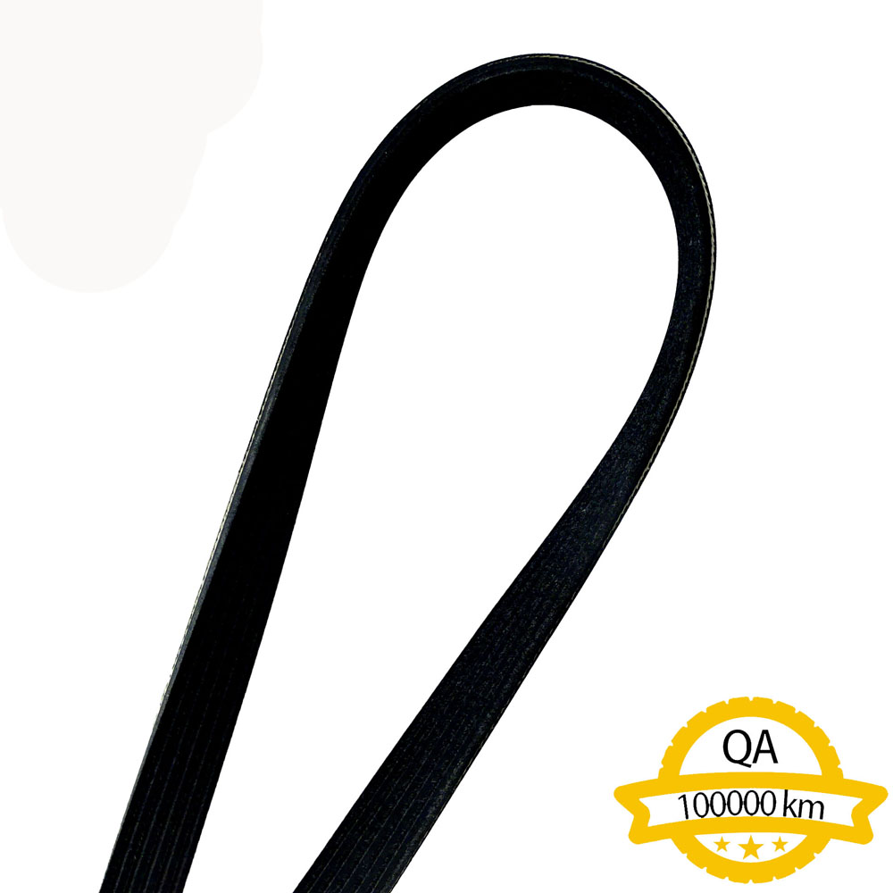 PK Ribbed Belt Apply to Benz W222 2013-2020   OE  003 993 5696
