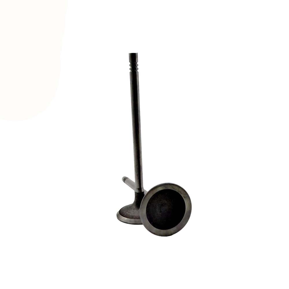 Intake Valve Apply to Bmw N12 Engine(8PCS/Set)   OE  1134 7533 884