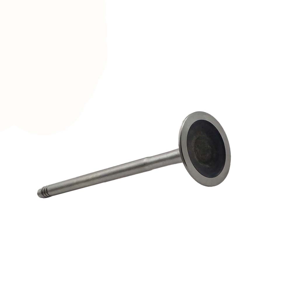 Exhaust Valve Apply to Bmw N52 Engine(8PCS/Set)   OE  1134 7553 772