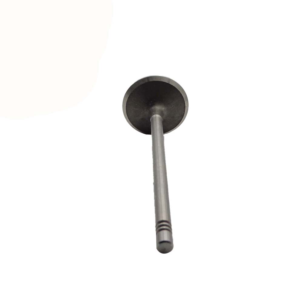 Intake Valve Apply to Benz W272 2.5L Engine(8PCS/Set)   OE  272 053 0801