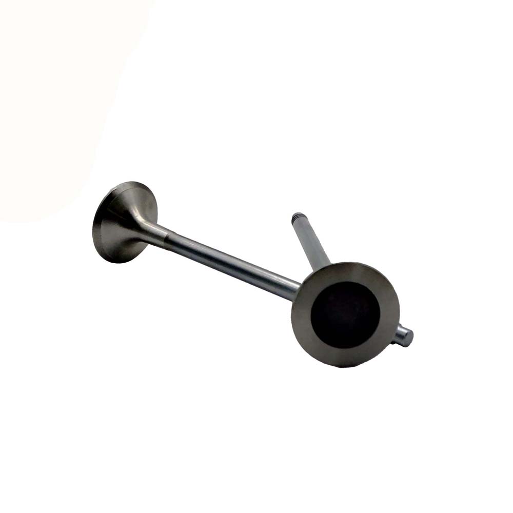 Exhaust Valve Apply to Bmw 5 F07 2010-2014(8PCS/Set)   OE  1134 7598 273