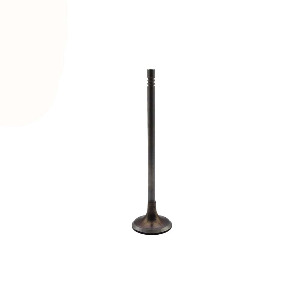 Intake Valve Apply to Bmw N14 Engine(8PCS/Set)   OE  1134 7534 508