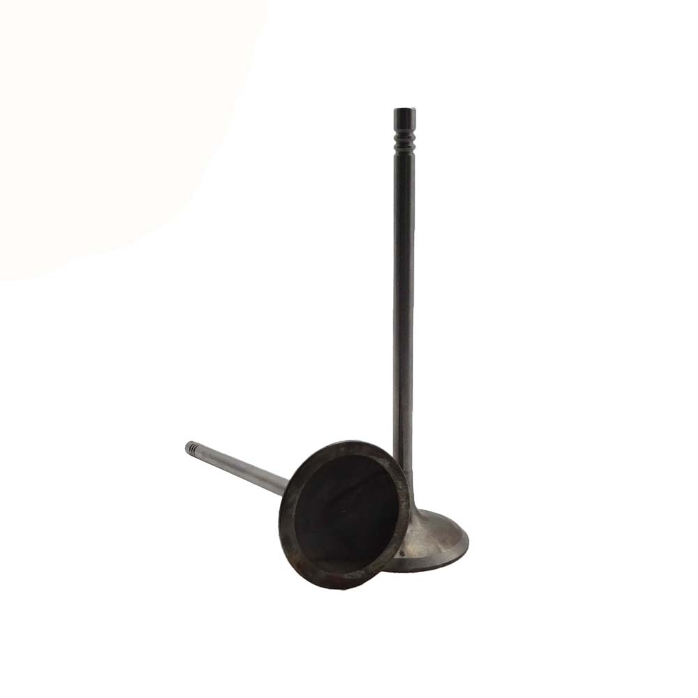 Intake Valve Apply to Bmw N52 Engine(8PCS/Set)   OE  1134 7553 771
