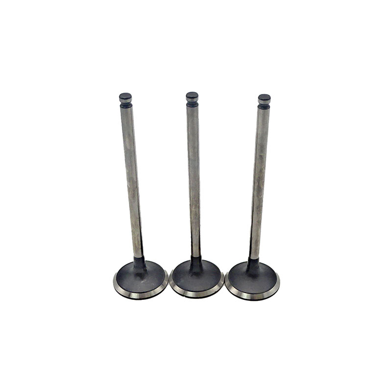 Suitable for Toyota Land Cruiser Prado(1GR 4.0L) 2003-2015 Exhaust Valve （8PCS）