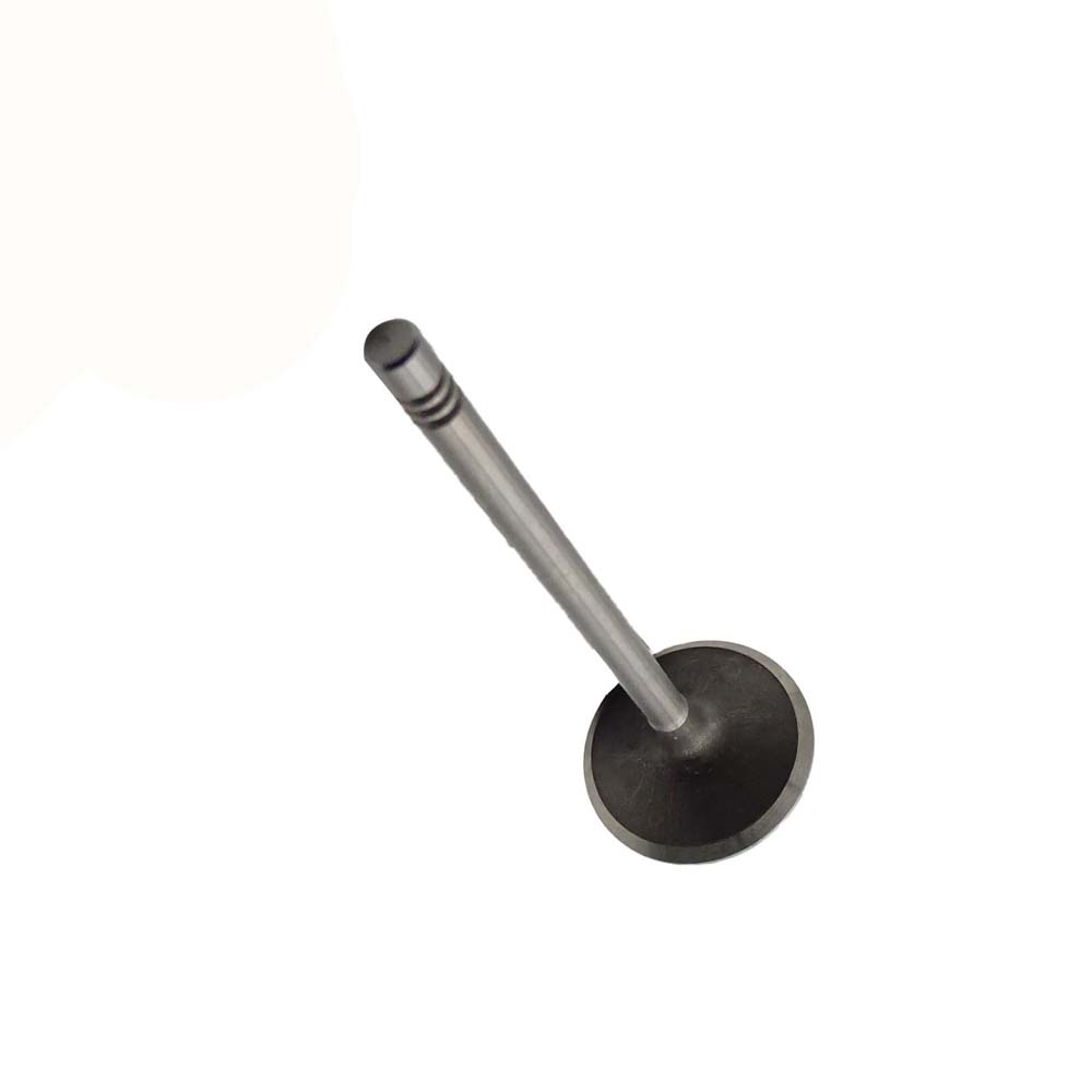 Intake Valve Apply to Benz W272 2.5L Engine(8PCS/Set)   OE  272 053 0801