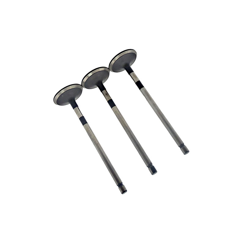 Suitable for Toyota Land Cruiser Prado(2TR 2.7L) 2004-2015 Exhaust Valve（8PCS）