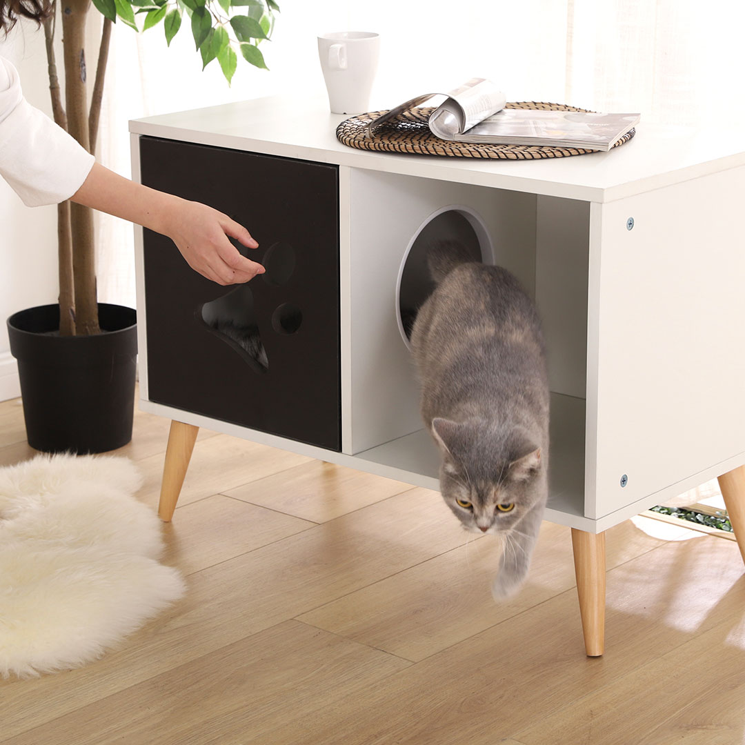 cat box storage bench