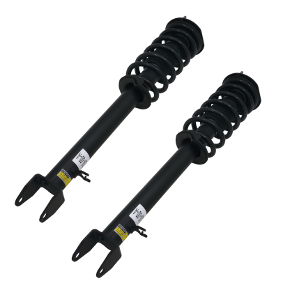 Luft Meister Tesla Model S Front Coil Spring Shock Absorber Left and Right Air Suspension Strut for 2011-2015 101561900B