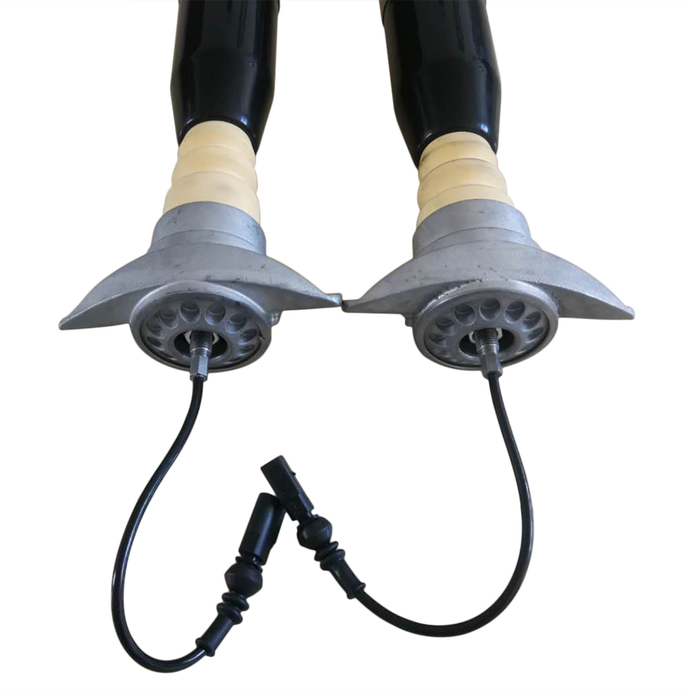 1 Pair Rear Shock Absorber for RS6 RS7 Assembly fit for Audi A6 C7 4G RS6 RS7 2012-2019 with electric sensor / with air suspension