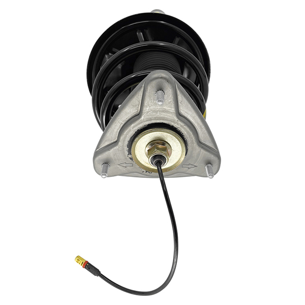 Front Shock Absorber Assy With PASM fit for Porsche Boxster Cayman (987) 2006-2012