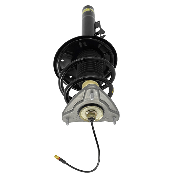 Front Shock Absorber Assy With PASM fit for Porsche Boxster Cayman (987) 2006-2012